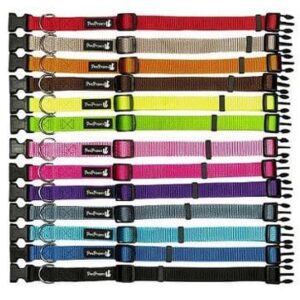 קולר כלב פטס פרוגקט מידה M