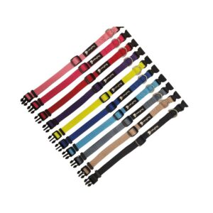 קולר כלב פטס פרוגקט מידה XS