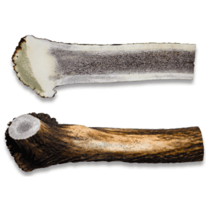 קרן אייל טבעית חצויה לכלב M