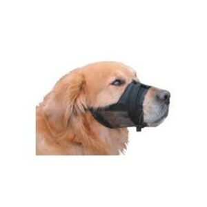 רסן בד לכלבים מידה L*