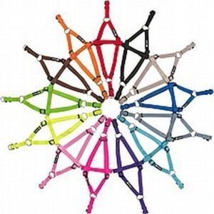 רתמת גוף ניילון XS לכלב DOCO