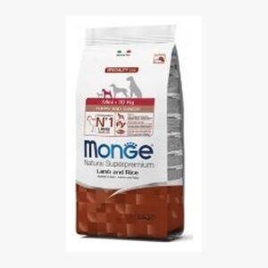 מונג כלב כשב גור מיני 2.5 ק"ג