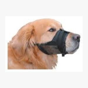 רסן בד לכלבים מידה L*