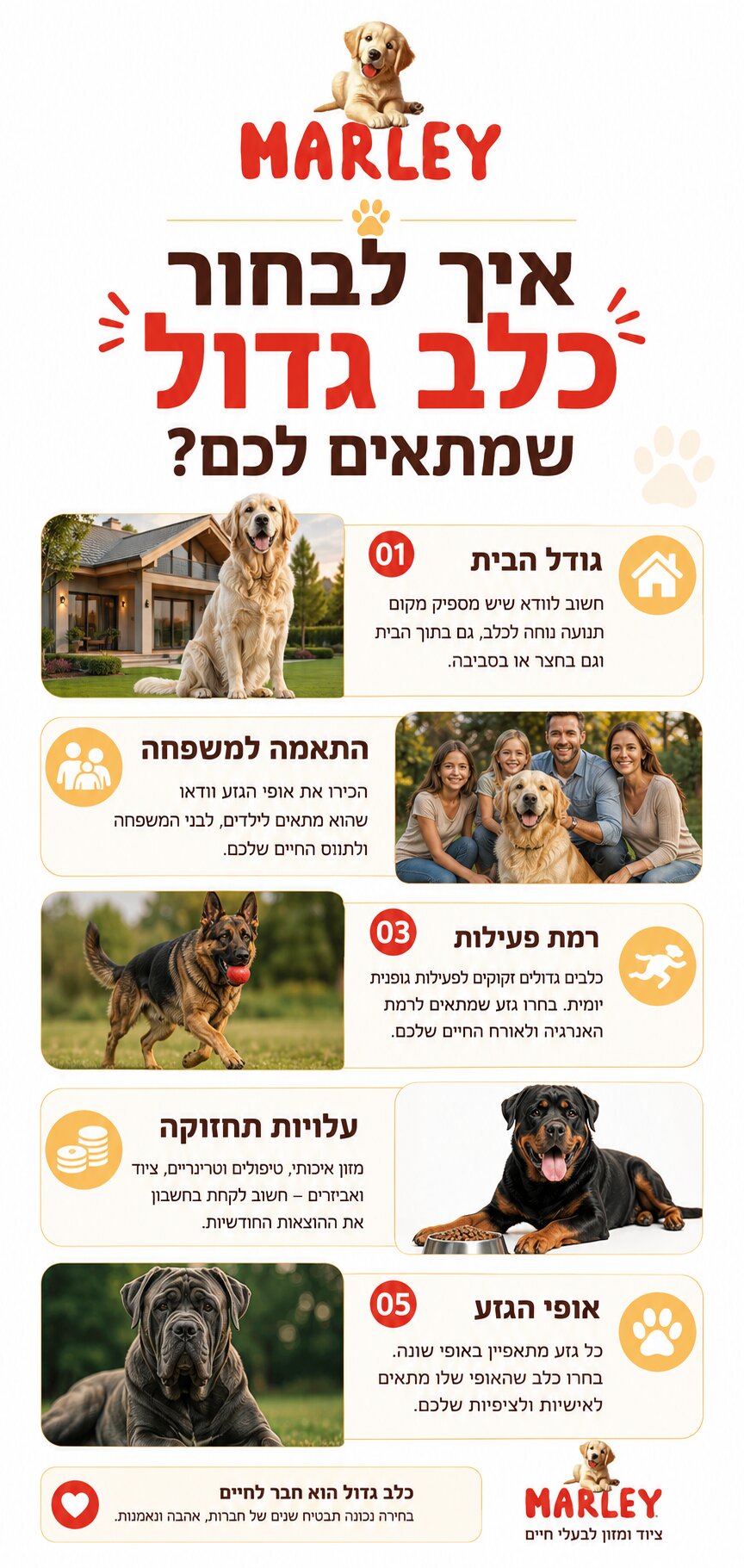 סוגי כלבים גדולים - המדריך המלא להיכרות עם הגזעים המרשימים ביותר