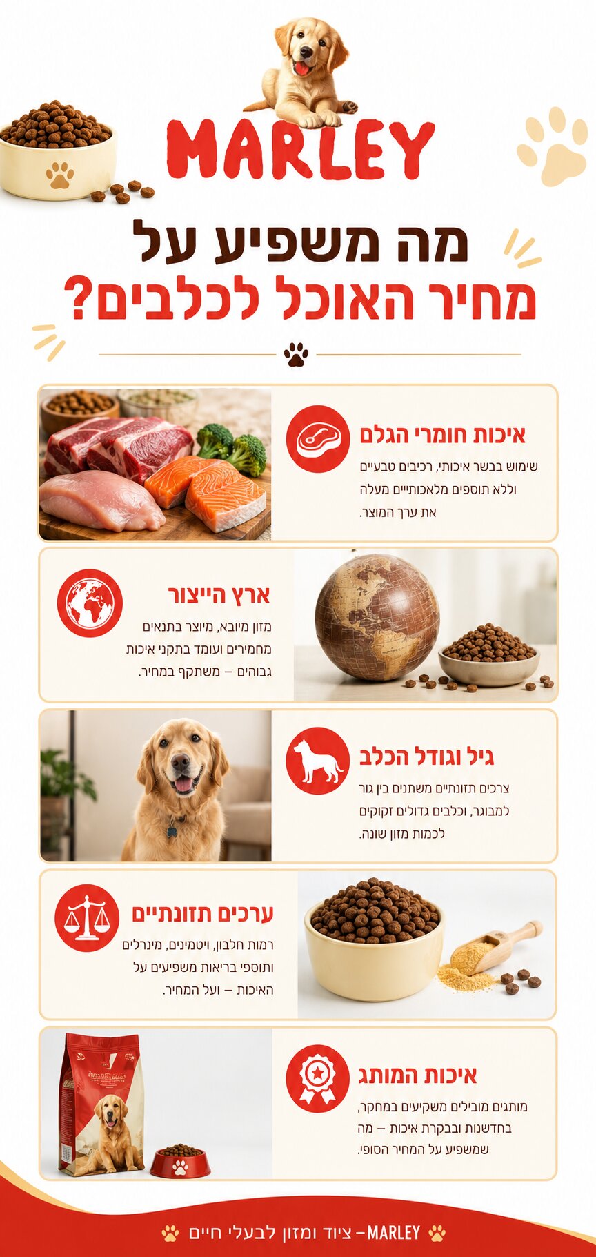 המדריך המלא לבעלי כלבים: כמה עולה אוכל לכלבים ומה משפיע על המחיר?