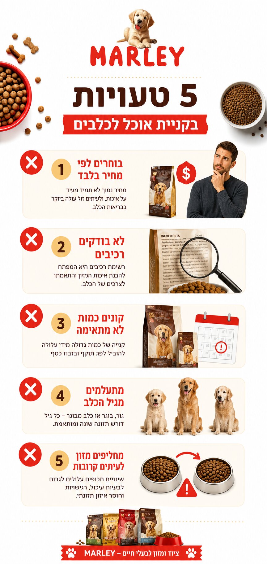 המדריך המלא לבעלי כלבים: כמה עולה אוכל לכלבים ומה משפיע על המחיר?