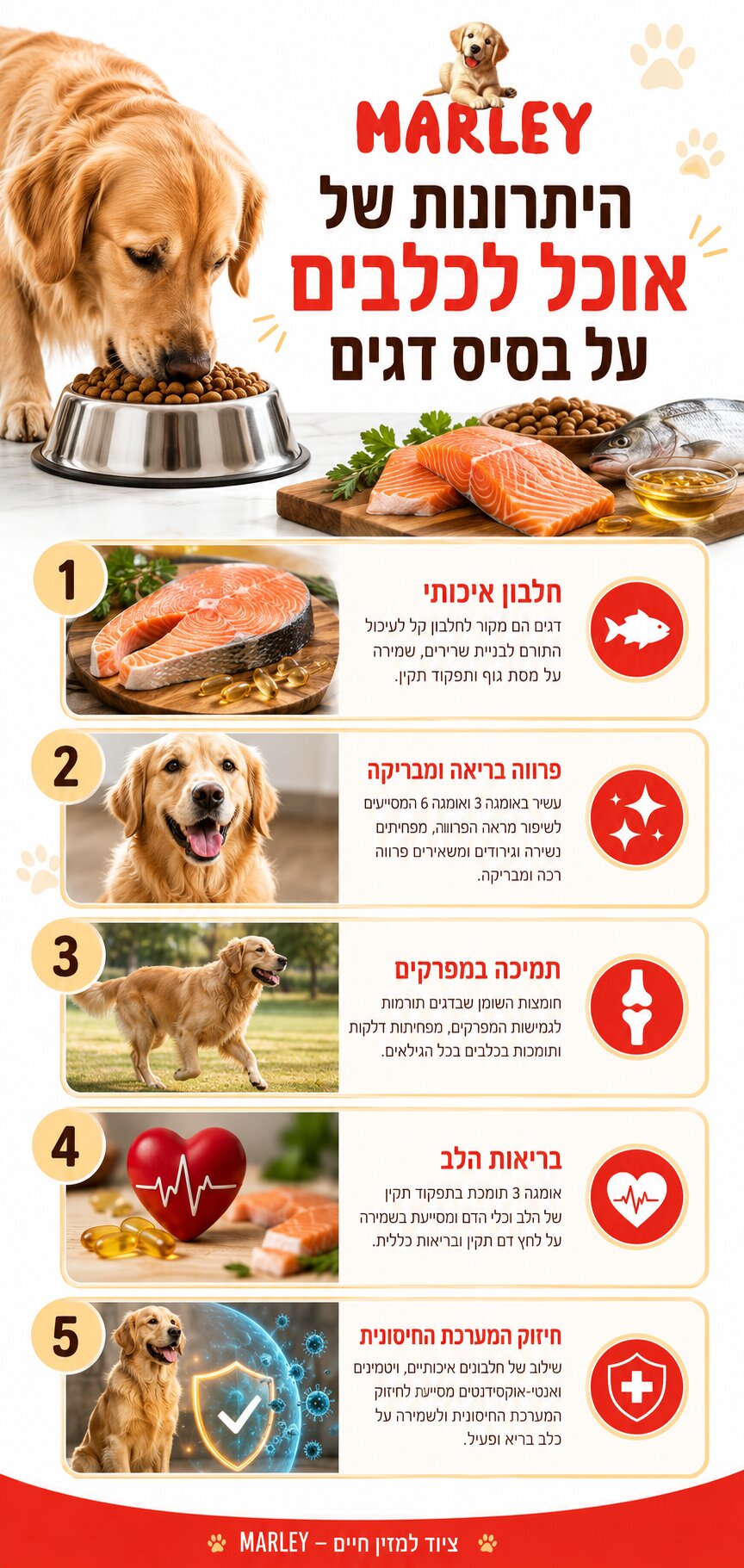 המדריך לבחירה נכונה: אוכל לכלבים על בסיס דגים והיתרונות שכדאי להכיר