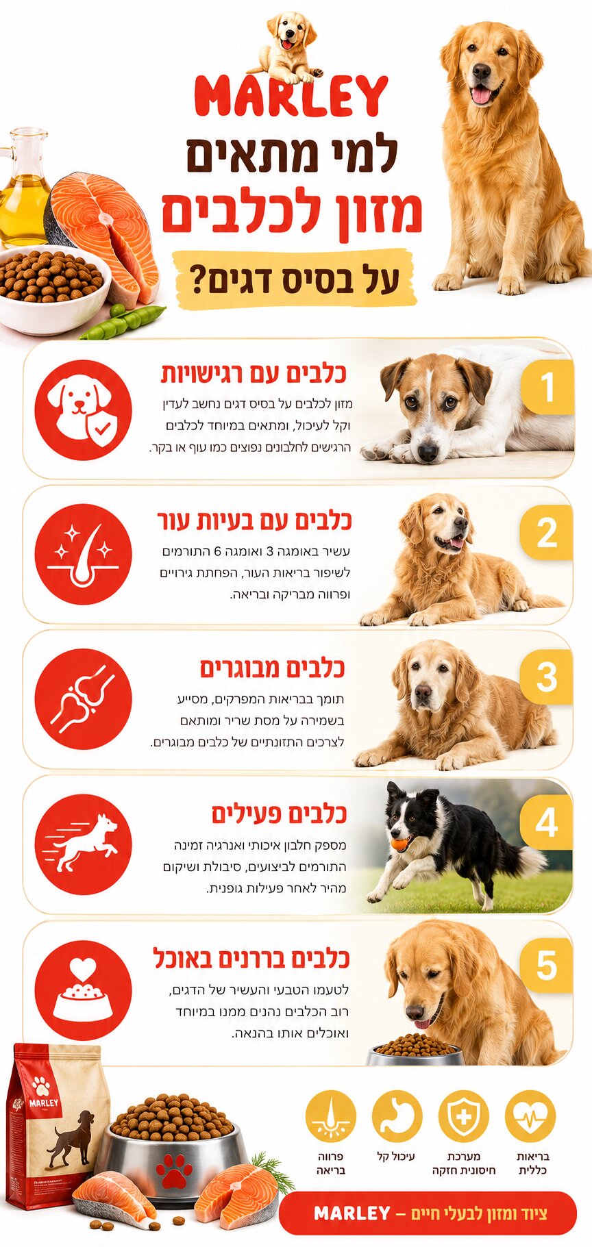 המדריך לבחירה נכונה: אוכל לכלבים על בסיס דגים והיתרונות שכדאי להכיר
