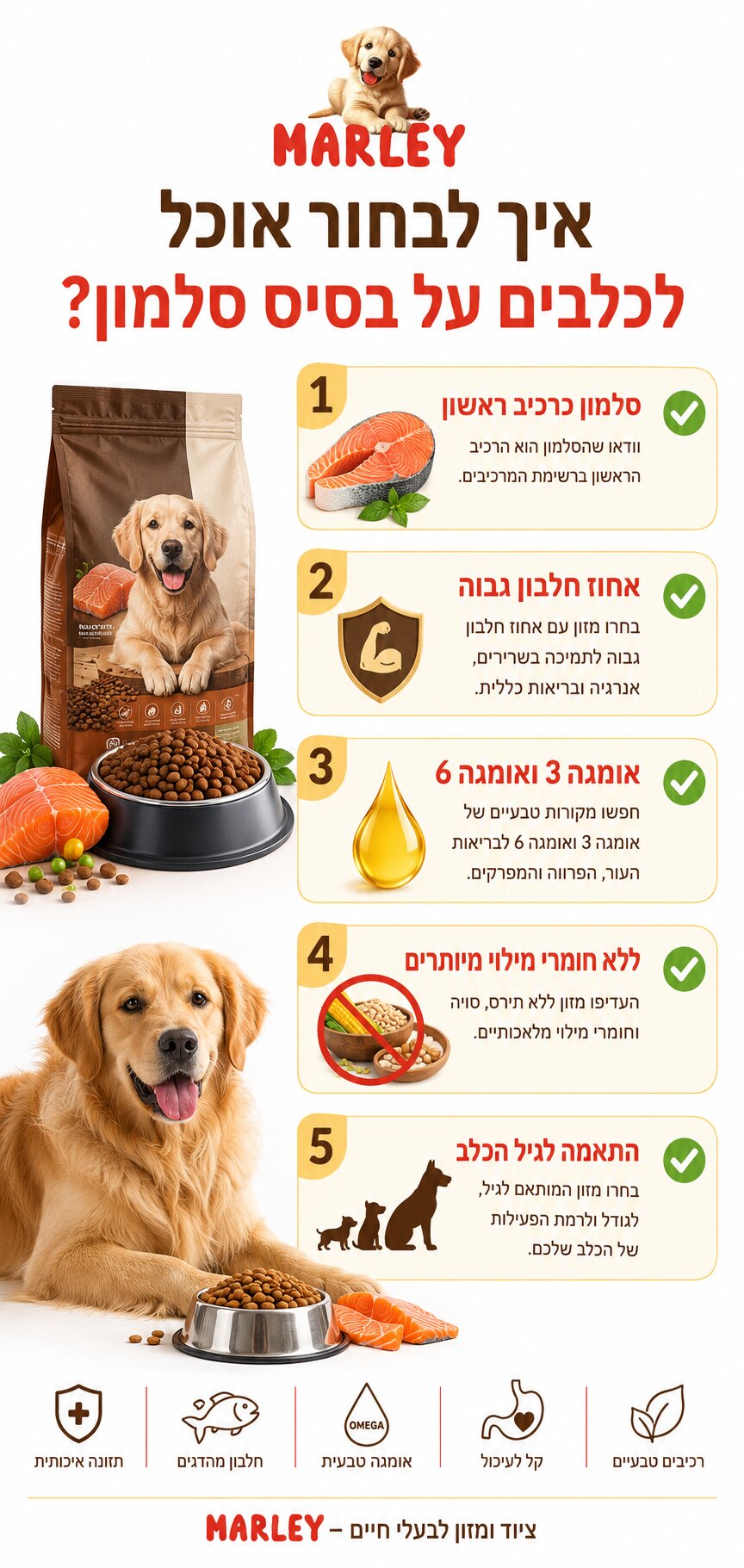 המדריך לבחירה נכונה: אוכל לכלבים על בסיס דגים והיתרונות שכדאי להכיר